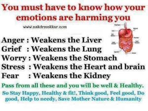 HARMFUL EMOTIONS HARM YOU